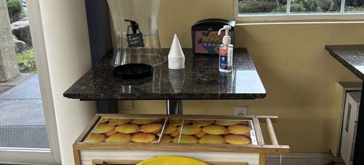 特洛克戴斯酒店(Days Inn by Wyndham Turlock)图片