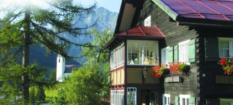 阿德勒酒店(Hotel Adler Garni)图片