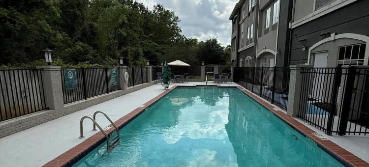 巴吞鲁日德纳姆斯普林斯拉昆塔温德姆套房酒店(La Quinta Inn & Suites by Wyndham Baton Rouge Denham Springs)图片