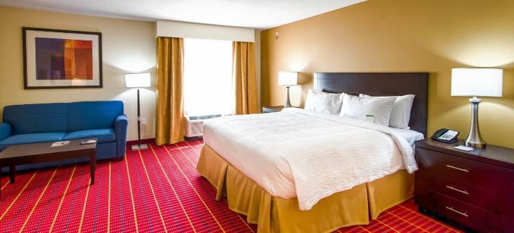 埃尔帕索机场万豪TownePlace套房酒店(TownePlace Suites El Paso Airport)图片