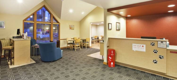 底特律利沃尼万豪TownePlace酒店(TownePlace Suites Detroit Livonia)图片