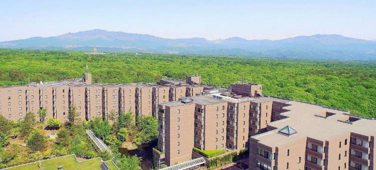 轻井泽俱乐部酒店轻井泽1130-休伊特度假村(Karuizawakurabu Hotel 1130 Hewitt Resort)图片