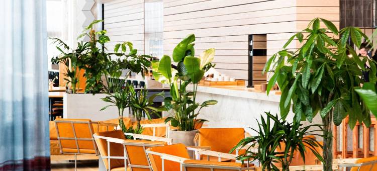 北欧之光酒店(Nordic Light Hotel)图片