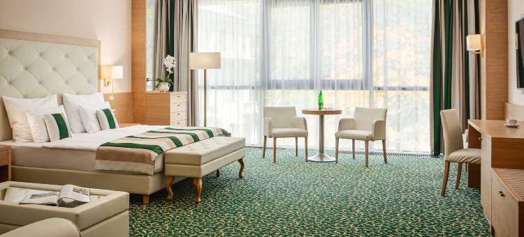 纳伯科夫酒店(Grandhotel Nabokov)图片