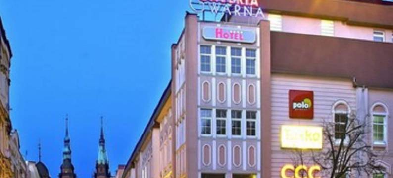 格瓦娜酒店(SkyHotelGwarna)图片