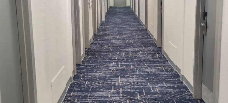 切斯特戴斯酒店(Comfort Inn Philadelphia International Airport West)图片