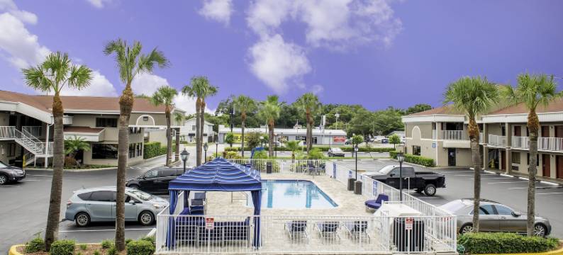 南坦帕套房酒店(Hotel South Tampa & Suites)图片