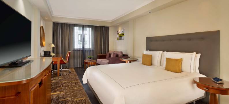 伦敦维多利亚丽亭酒店(Park Plaza Victoria London)图片