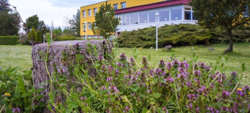 哈兹山全景度假酒店(Panorama Ferien Hotel Harz)图片