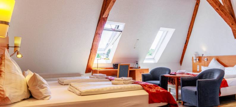 科鲁兹博登湖酒店(Bodensee-Hotel Kreuz)图片