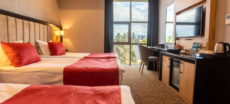 尊贵酒店甘贾(Premium Hotel Ganja)图片