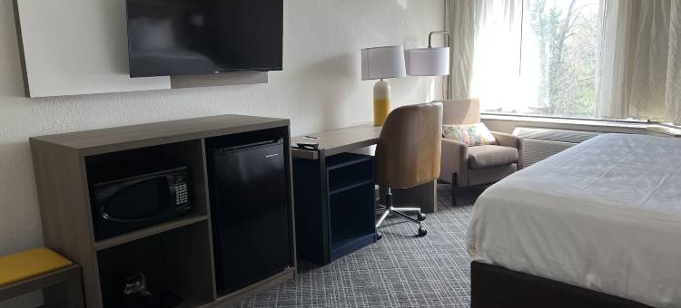 舒适酒店及套房锡拉丘兹-凯瑞尔圈(Comfort Inn & Suites Syracuse-Carrier Circle)图片