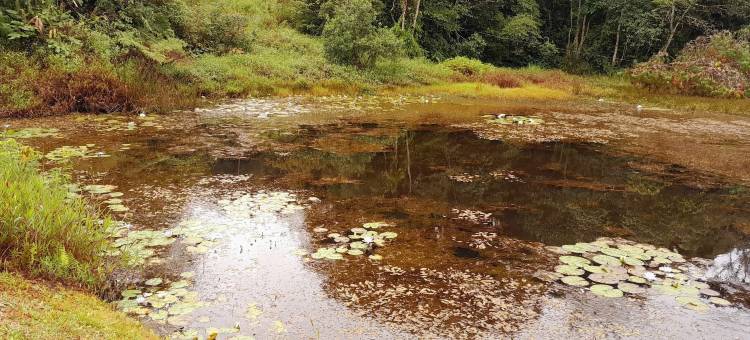 维姆巴伊纳舍别墅(Vimbainashe Villa)图片