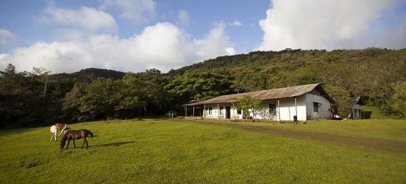 盖塔诺的角落(Rincón de Gaetano)图片