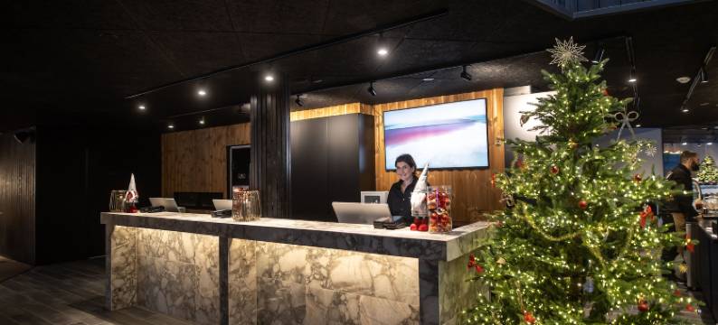 北光村庇护(Northern Lights Village Pyhä)图片