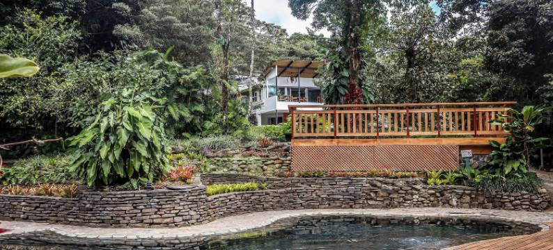 蒙特维尔德小屋(Monteverde Lodge)图片