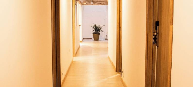 泽尼亚(zenia)图片