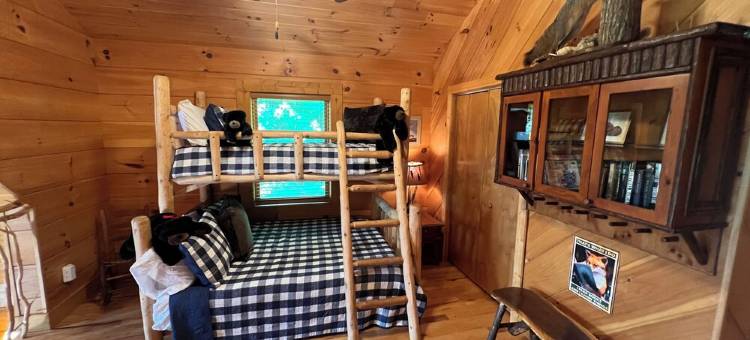 Franklin Foxfire Cabin - Mountain Views, Fire Pit, Spacious, PS5, Fast WiFi图片