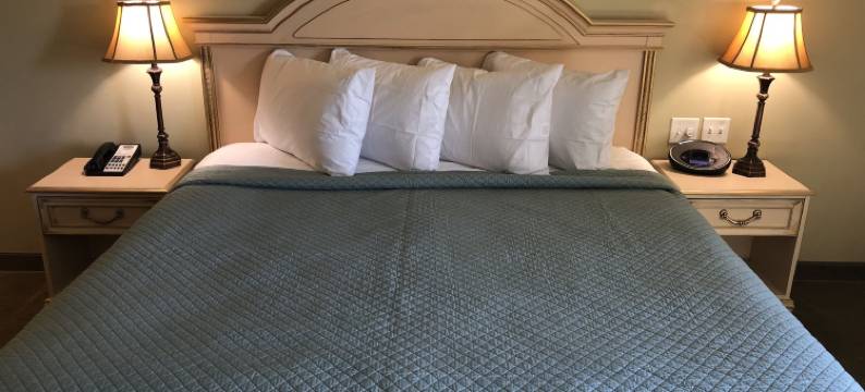 朱丽叶酒店(The Juliet Hotel)图片