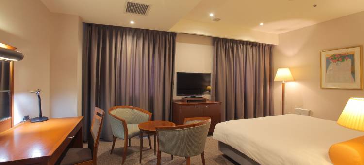 小田急站厚木酒店(Odakyu Station Hotel Hon-Atsugi)图片