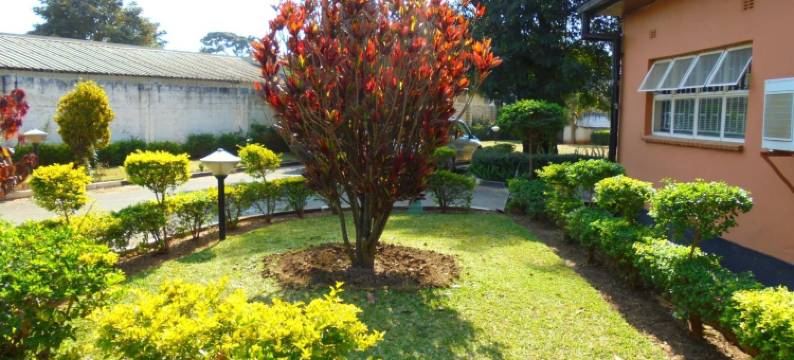 雪伦旅馆(Sharon's Guest House)图片