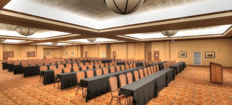 拉姆西酒店和会议中心(The Ramsey Hotel and Convention Center Pigeon Forge)图片