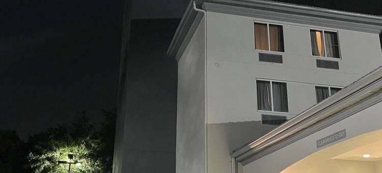 奥兰多希尔顿斯帕克酒店-海洋世界附近(Spark by Hilton Orlando near SeaWorld)图片