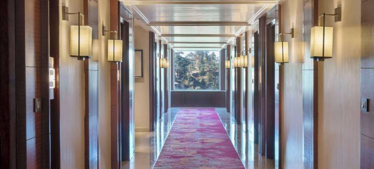 库弗里丽笙酒店(Radisson Kufri)图片