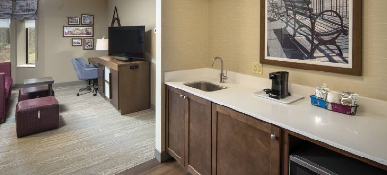 宾厄姆顿维斯塔欢朋套房酒店(Hampton Inn & Suites Binghamton/Vestal)图片