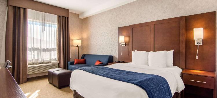 梅迪辛哈特舒适套房酒店(Comfort Inn & Suites)图片