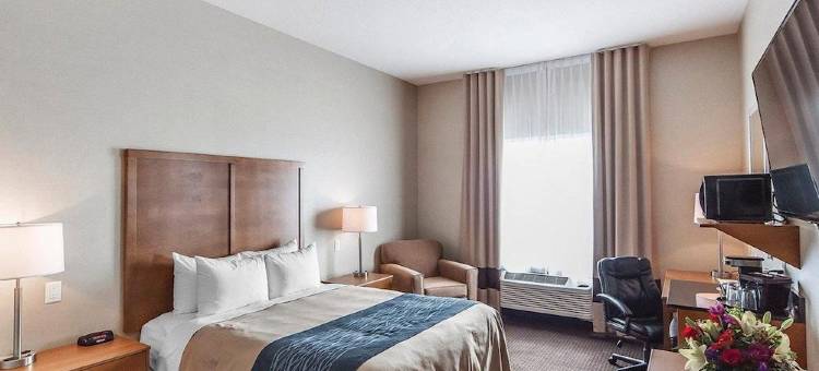 邦尼维尔舒适套房酒店(The Kanata Bonnyville)图片