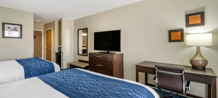 舒适酒店(Comfort Inn)图片