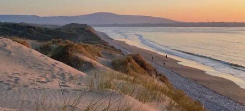 Daffodil Lodge图片