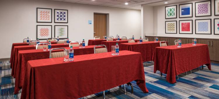 洲际智选假日酒店及套房坦帕-安德森路/退伍军人(Holiday Inn Express & Suites Tampa-Anderson RD/Veterans Exp)图片