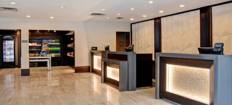 锡拉库兹希尔顿安泊酒店(Embassy Suites by Hilton Syracuse)图片