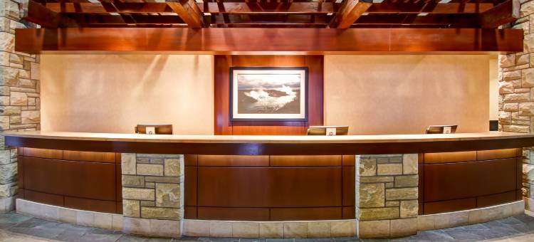 希尔顿逸林瀑布观景水疗度假村-尼亚加拉瀑布(DoubleTree Fallsview Resort & Spa by Hilton - Niagara Falls)图片