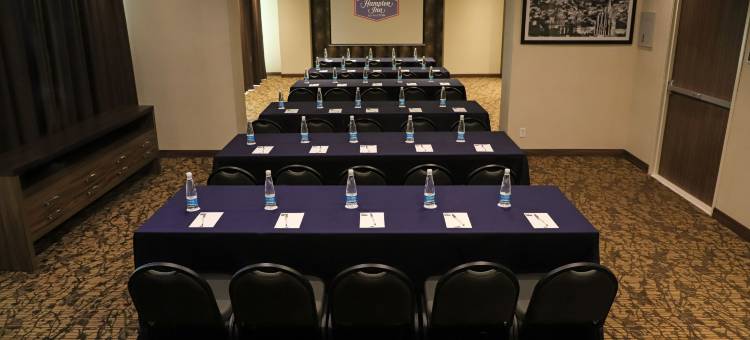 伊拉普阿托欢朋酒店(Hampton Inn by Hilton Irapuato)图片