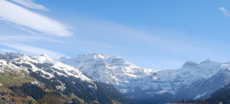 Chalet in Lenk near Simmen Falls图片