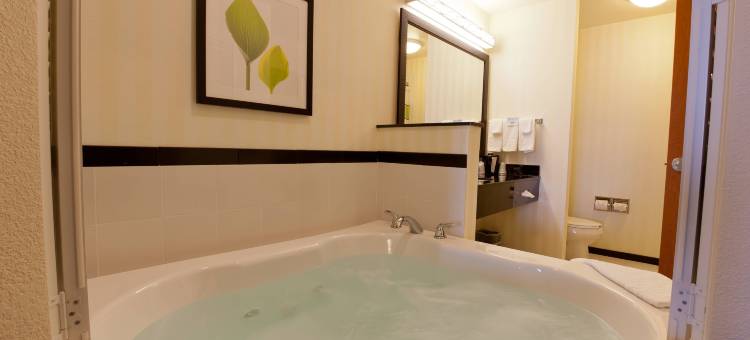 Fairfield Inn & Suites Flint Fenton图片