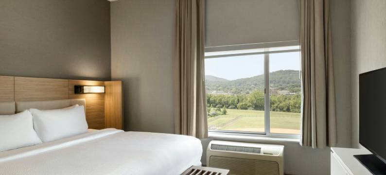 罗阿诺克万豪SpringHill酒店(SpringHill Suites Roanoke)图片