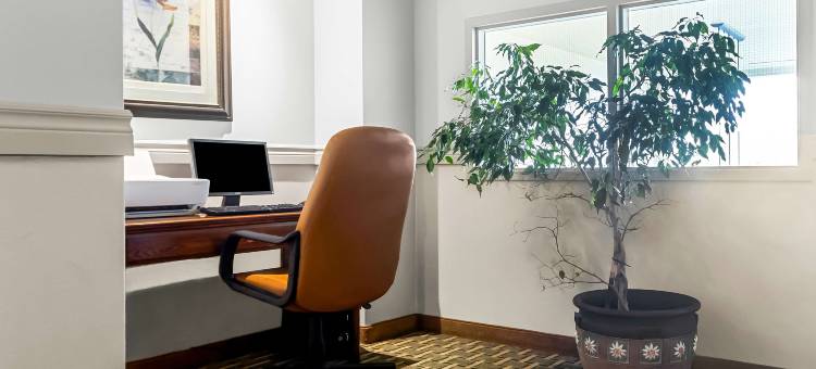 劳瑞尔山贝斯特韦斯特优质酒店(Best Western Plus Mont-Laurier)图片