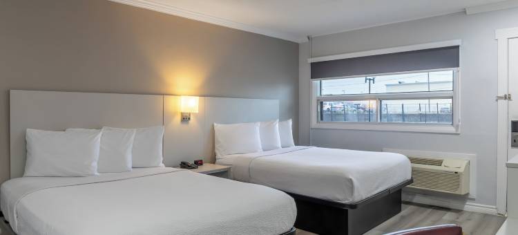 经典舒适酒店(Hotel Classic Comfort)图片