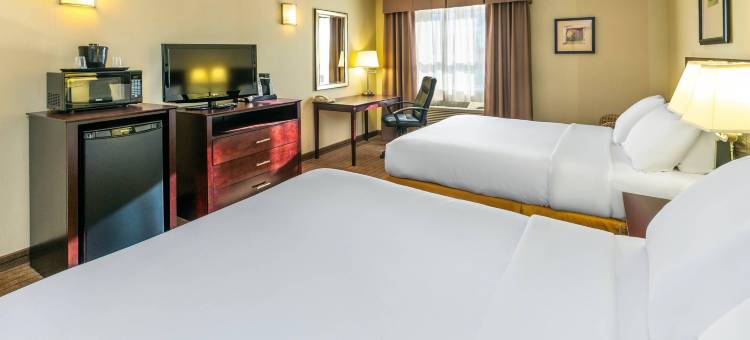 的舒适酒店和套房(Comfort Inn & Suites)图片