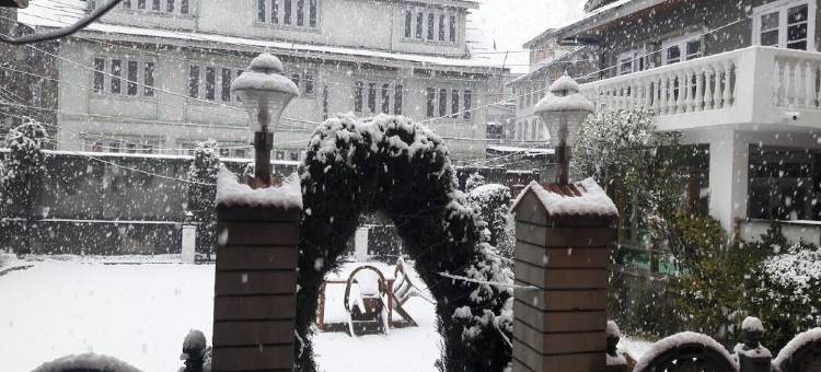 布鲁明戴尔(Blooming Dale Hotel)图片