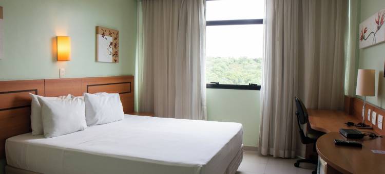 马瑙斯德舒适酒店(Comfort Hotel Manaus)图片