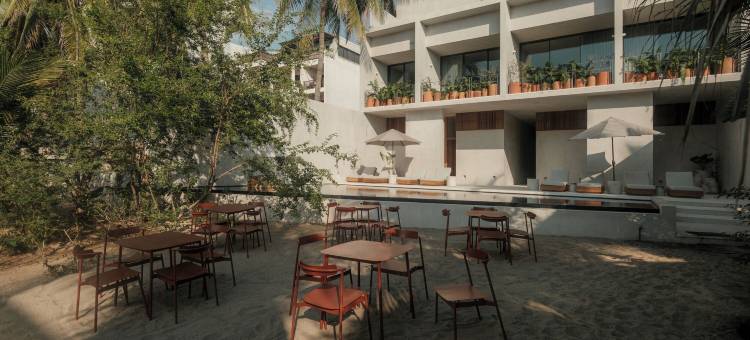 诺托齐卡特拉酒店(Notto Zicatela Hotel)图片