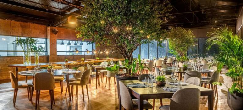 提沃利迈奥拉纳贝伦帕拉酒店(Tivoli Maiorana Belém Pará Hotel)图片