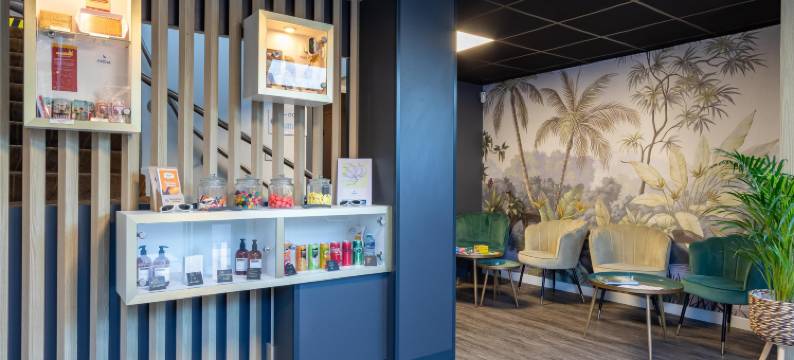 阿克纳南特酒店(Hôtel Akena Nantes Orvault)图片