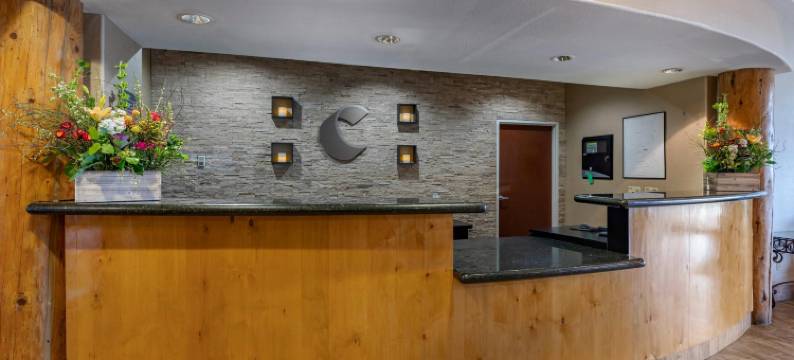 埃弗格林百汇金西舒适套房酒店(Comfort Suites Golden West on Evergreen Parkway)图片