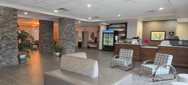 威尔罗杰斯机场的 FairBridge 酒店及套房，餐厅和酒吧(FairBridge Inn And Suites Will Rogers Airport | Restaurant & Bar)图片
